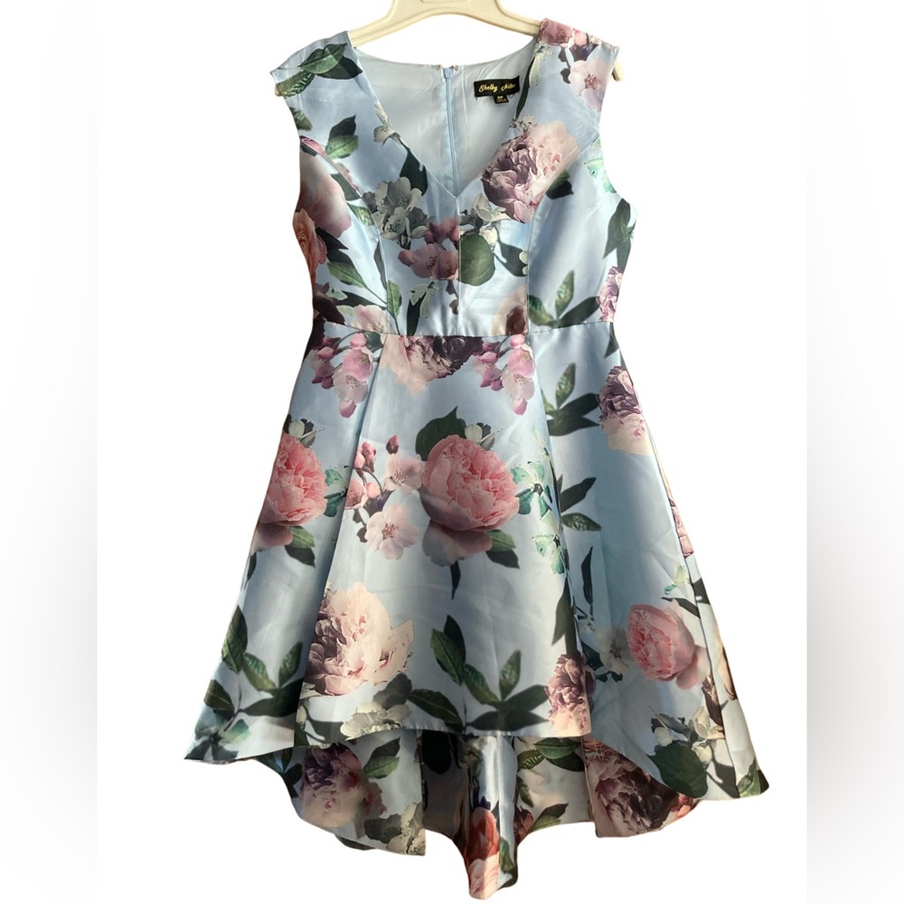 Floral Sleeveless Formal Dress 6P Shelby Nites Peonies & Apple Blossoms Blue